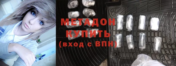 индика Богданович