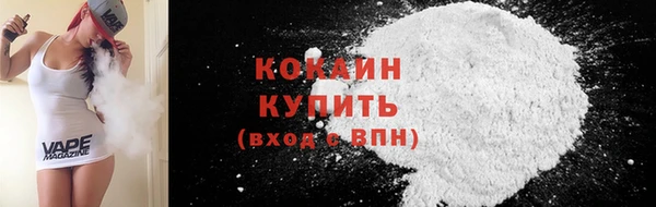 индика Богданович