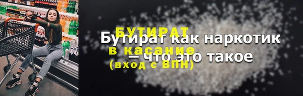 индика Богданович