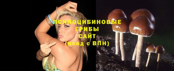 хмурый Богородицк