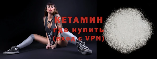 индика Богданович