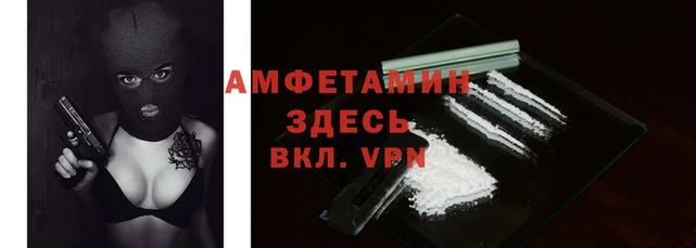 индика Богданович