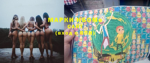 индика Богданович