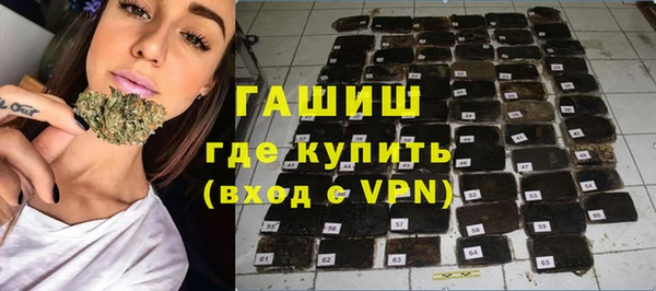 индика Богданович